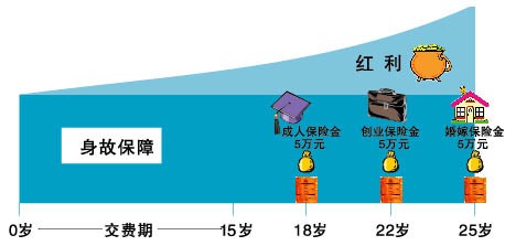 旺旺宝贝两全保险（分红型）